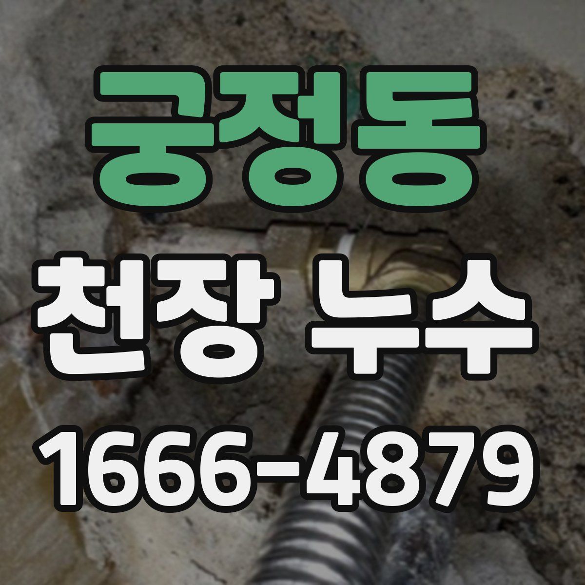 궁정동 천장 누수