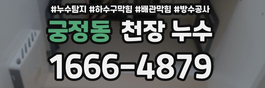 궁정동 천장 누수