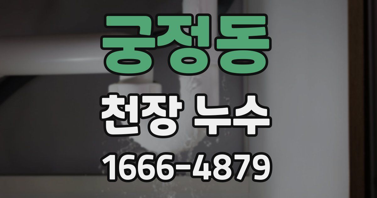 궁정동 천장 누수
