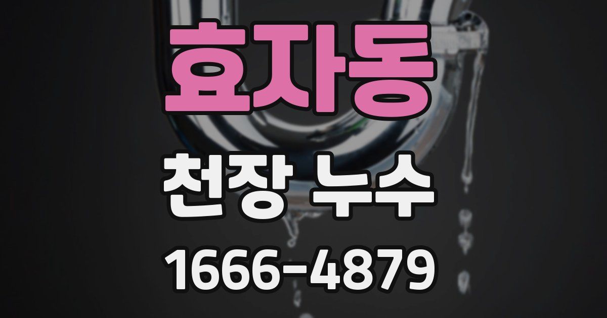 효자동 천장 누수