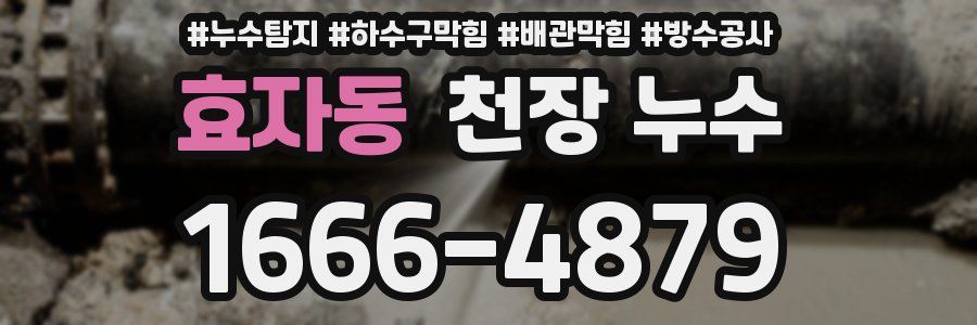 효자동 천장 누수