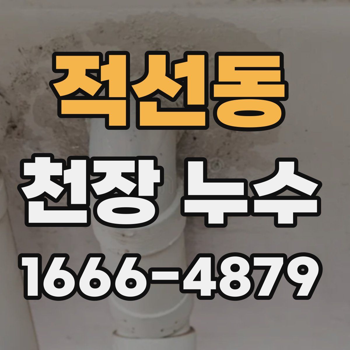 적선동 천장 누수