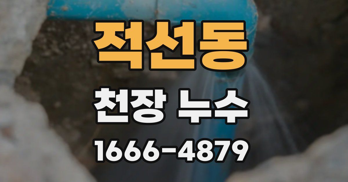 적선동 천장 누수