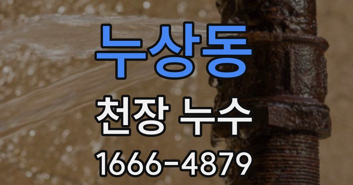 누상동 천장 누수