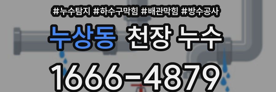 누상동 천장 누수