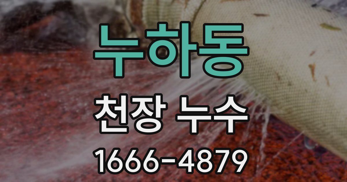 누하동 천장 누수