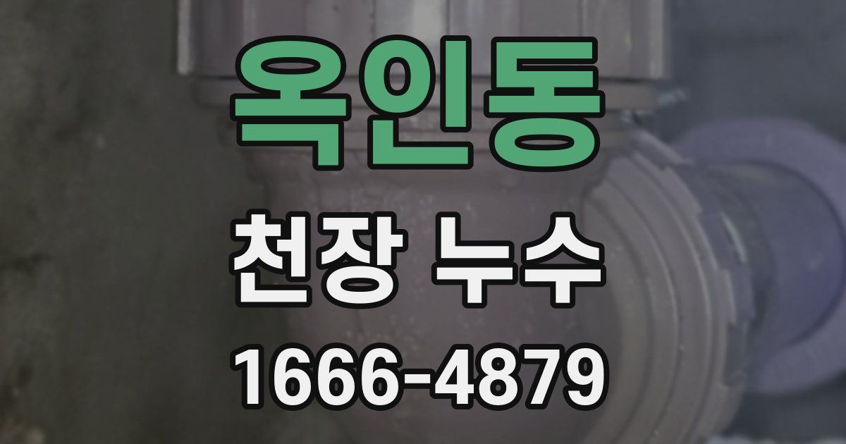 옥인동 천장 누수