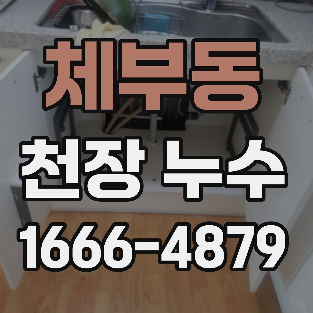 체부동 천장 누수