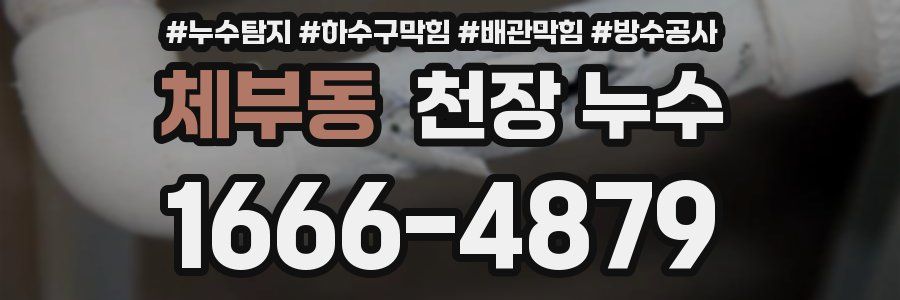 체부동 천장 누수