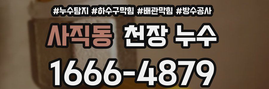 사직동 천장 누수