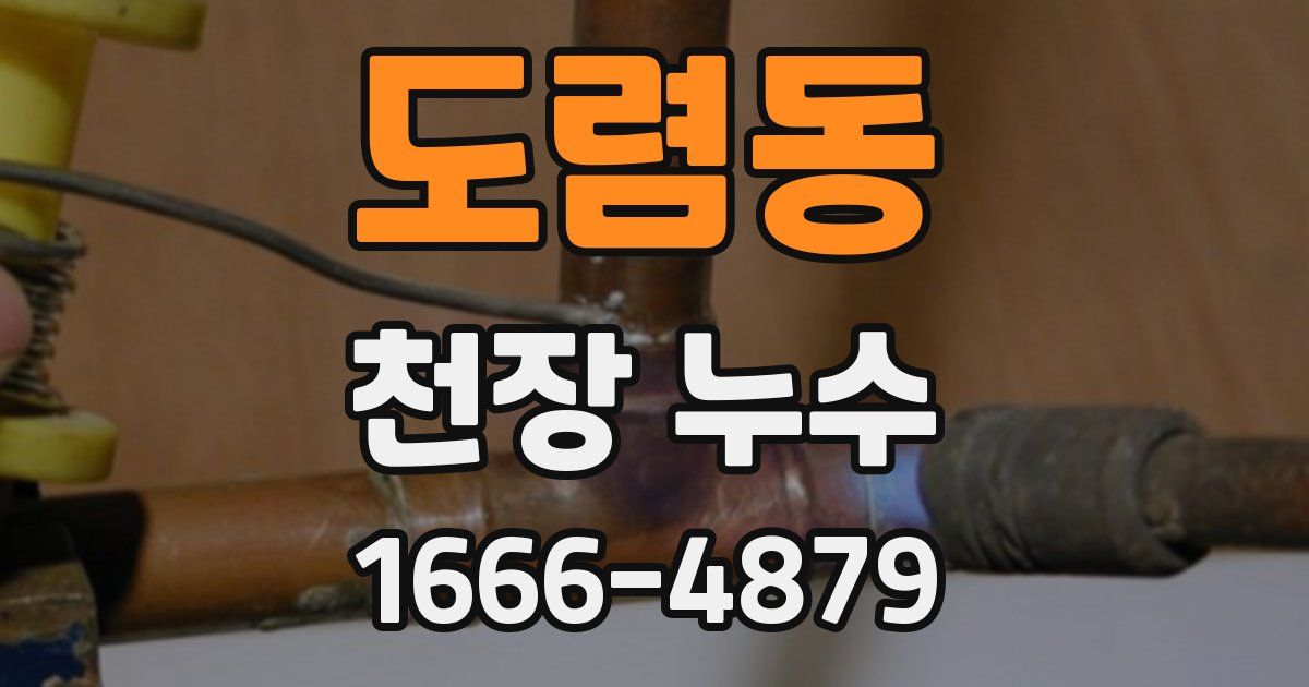 도렴동 천장 누수