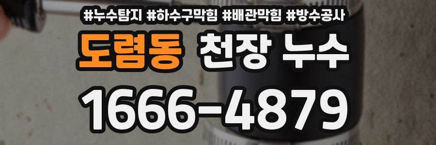도렴동 천장 누수