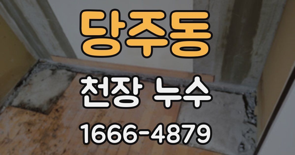당주동 천장 누수