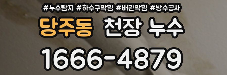 당주동 천장 누수