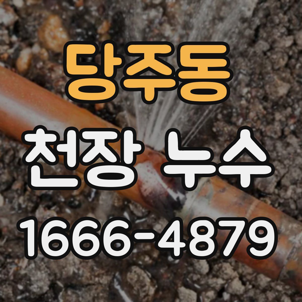 당주동 천장 누수
