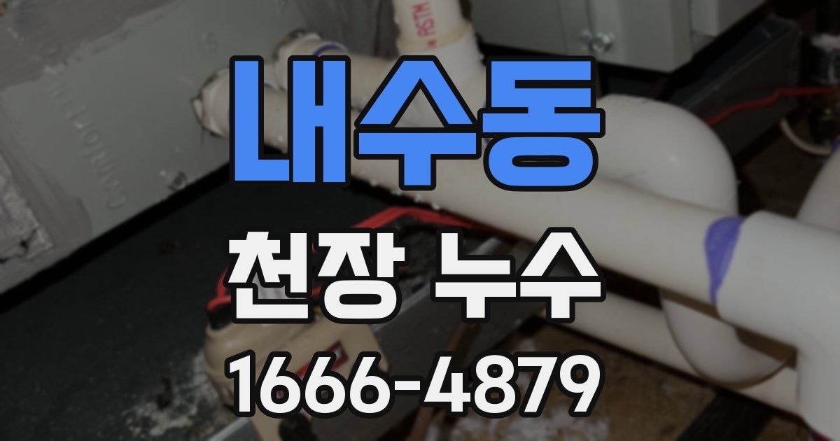 내수동 천장 누수