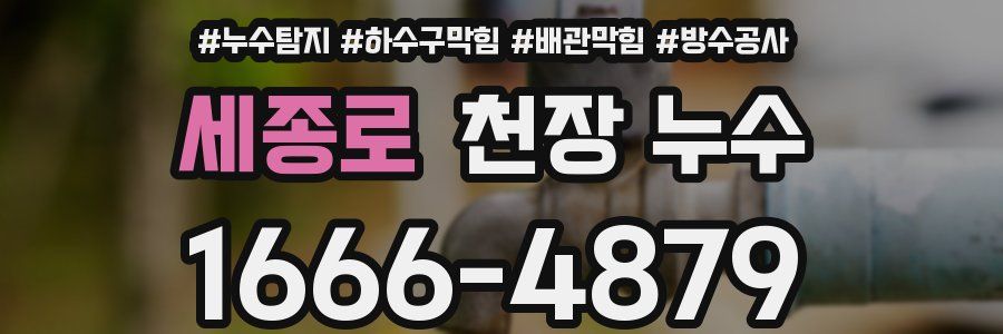 세종로 천장 누수