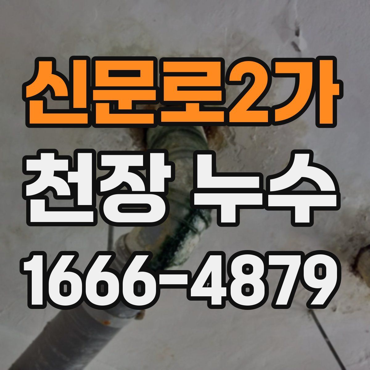 신문로2가 천장 누수