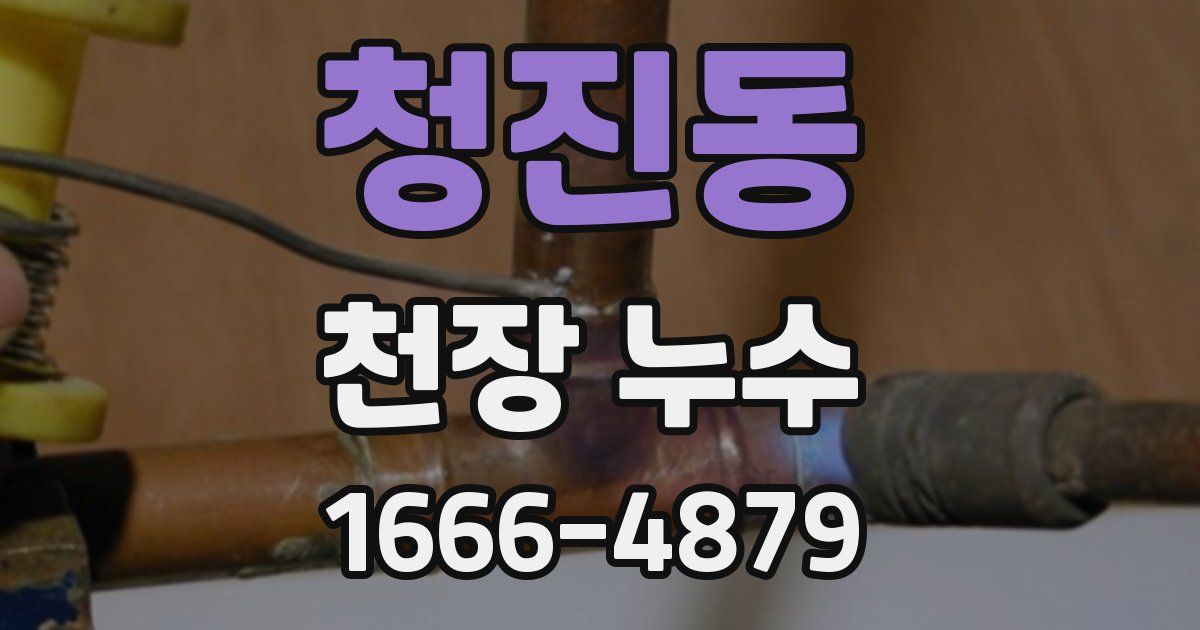 청진동 천장 누수