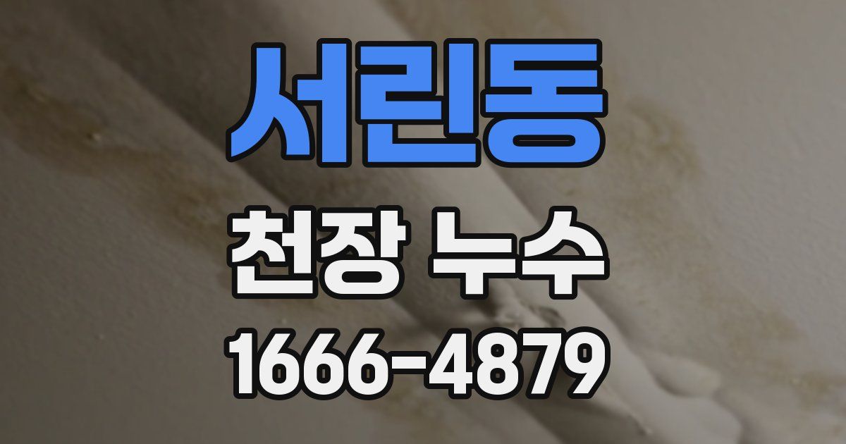 서린동 천장 누수