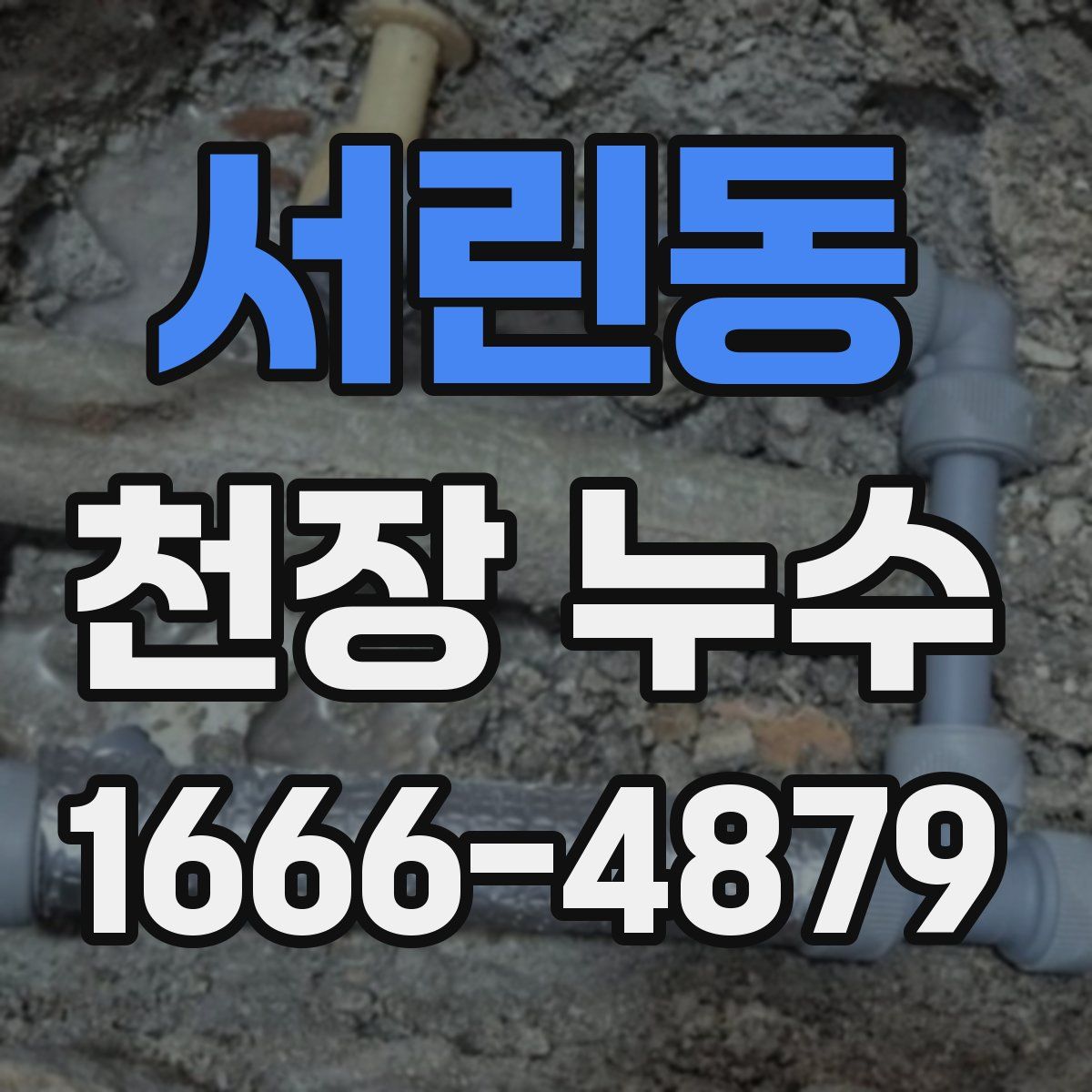 서린동 천장 누수