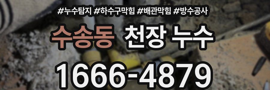 수송동 천장 누수