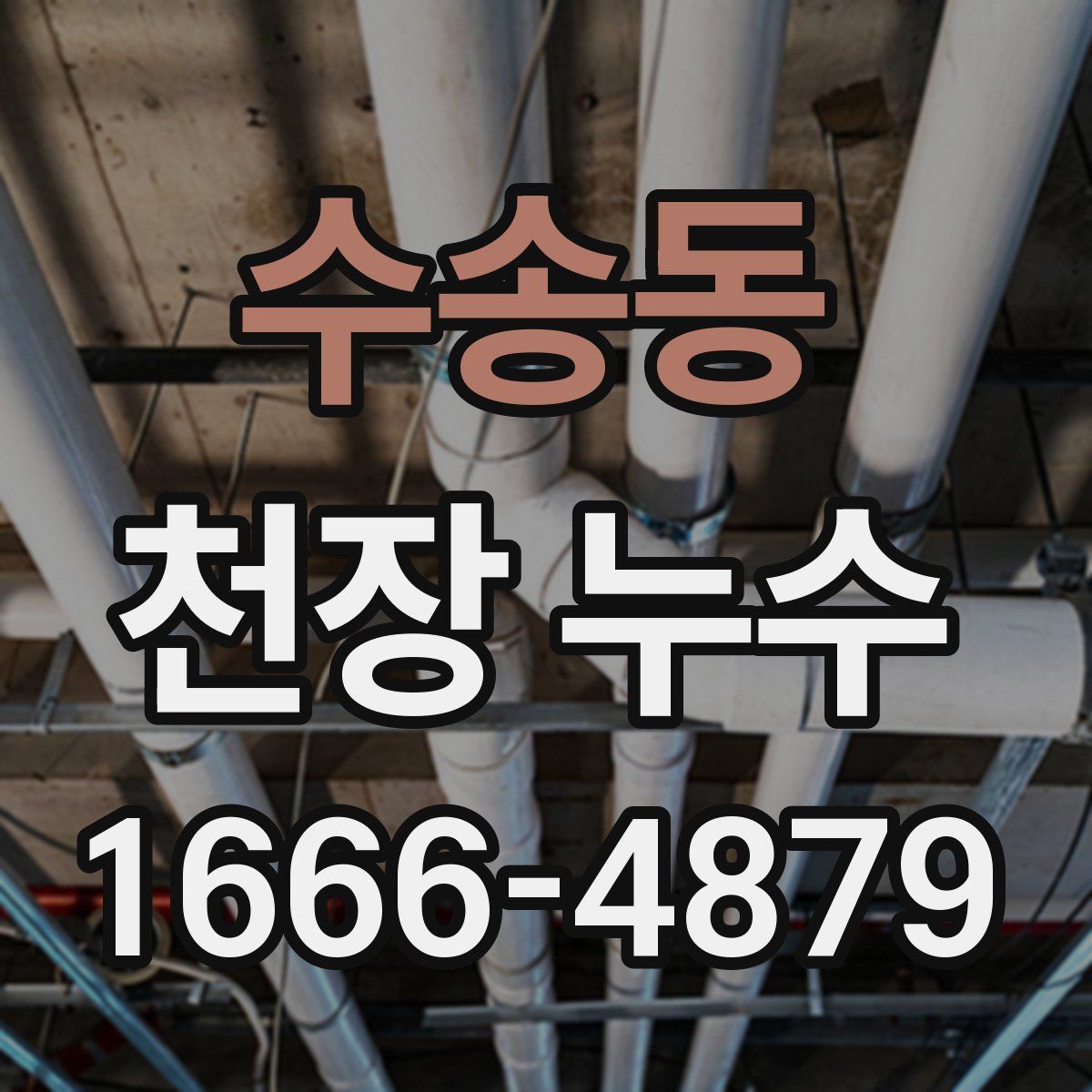 수송동 천장 누수
