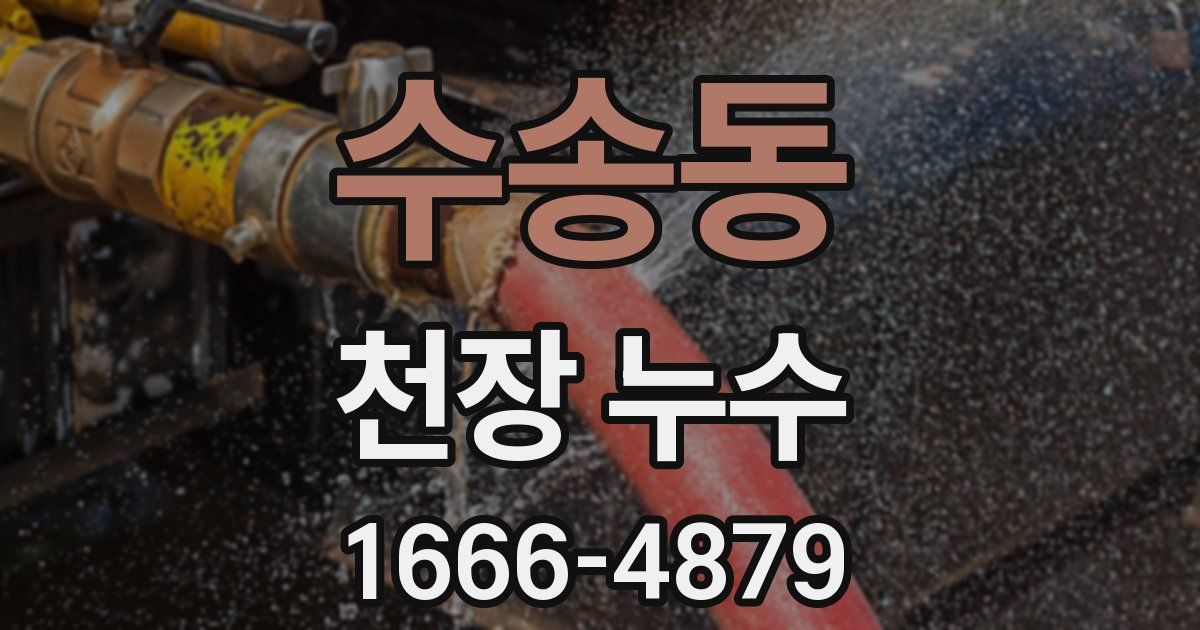 수송동 천장 누수