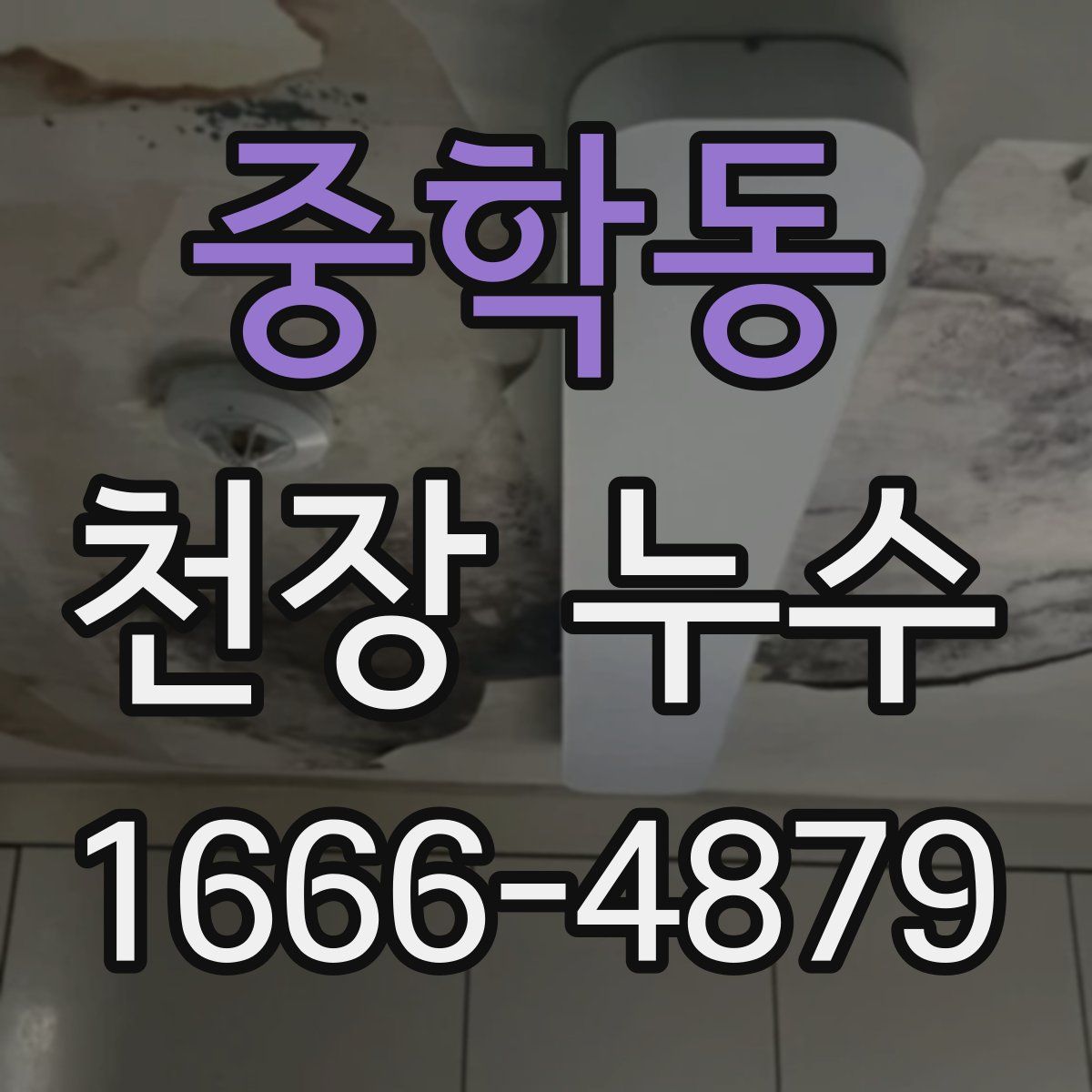 중학동 천장 누수