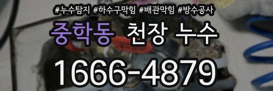 중학동 천장 누수
