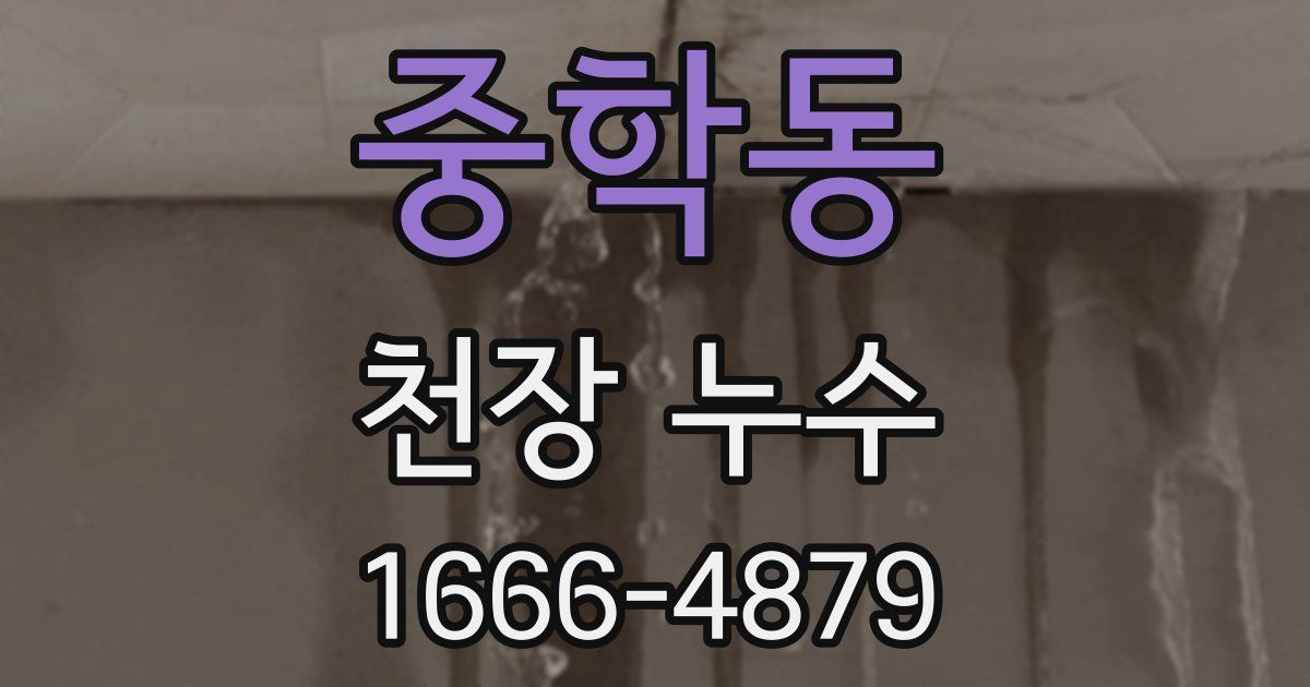 중학동 천장 누수