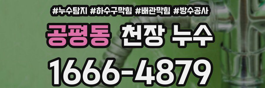 공평동 천장 누수