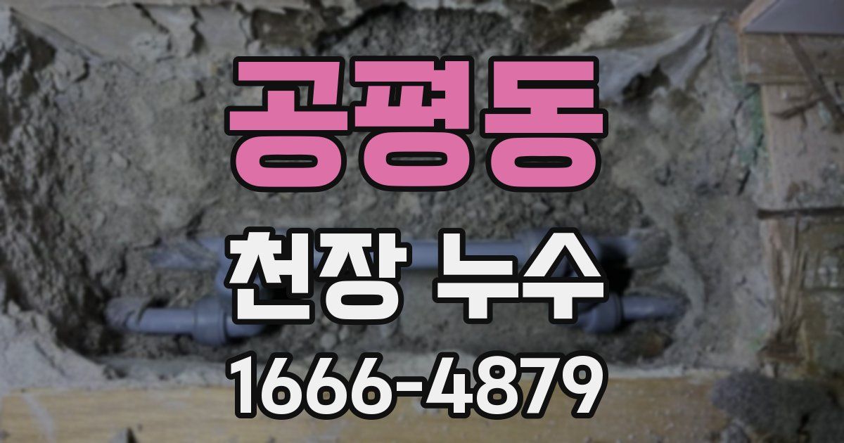 공평동 천장 누수