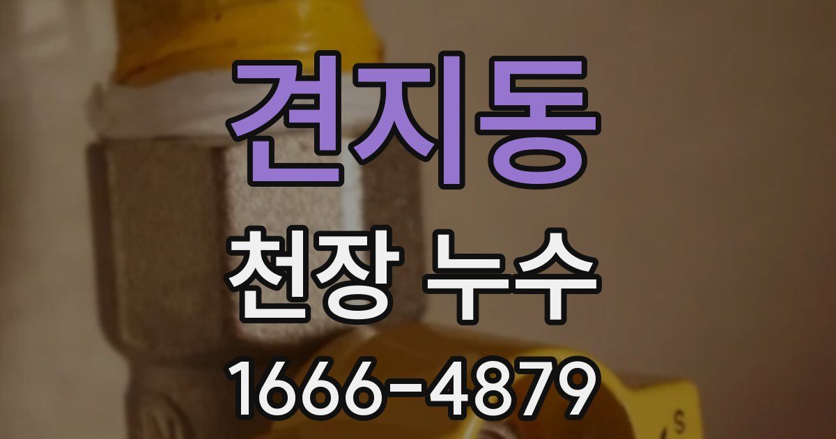 견지동 천장 누수