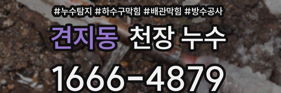 견지동 천장 누수