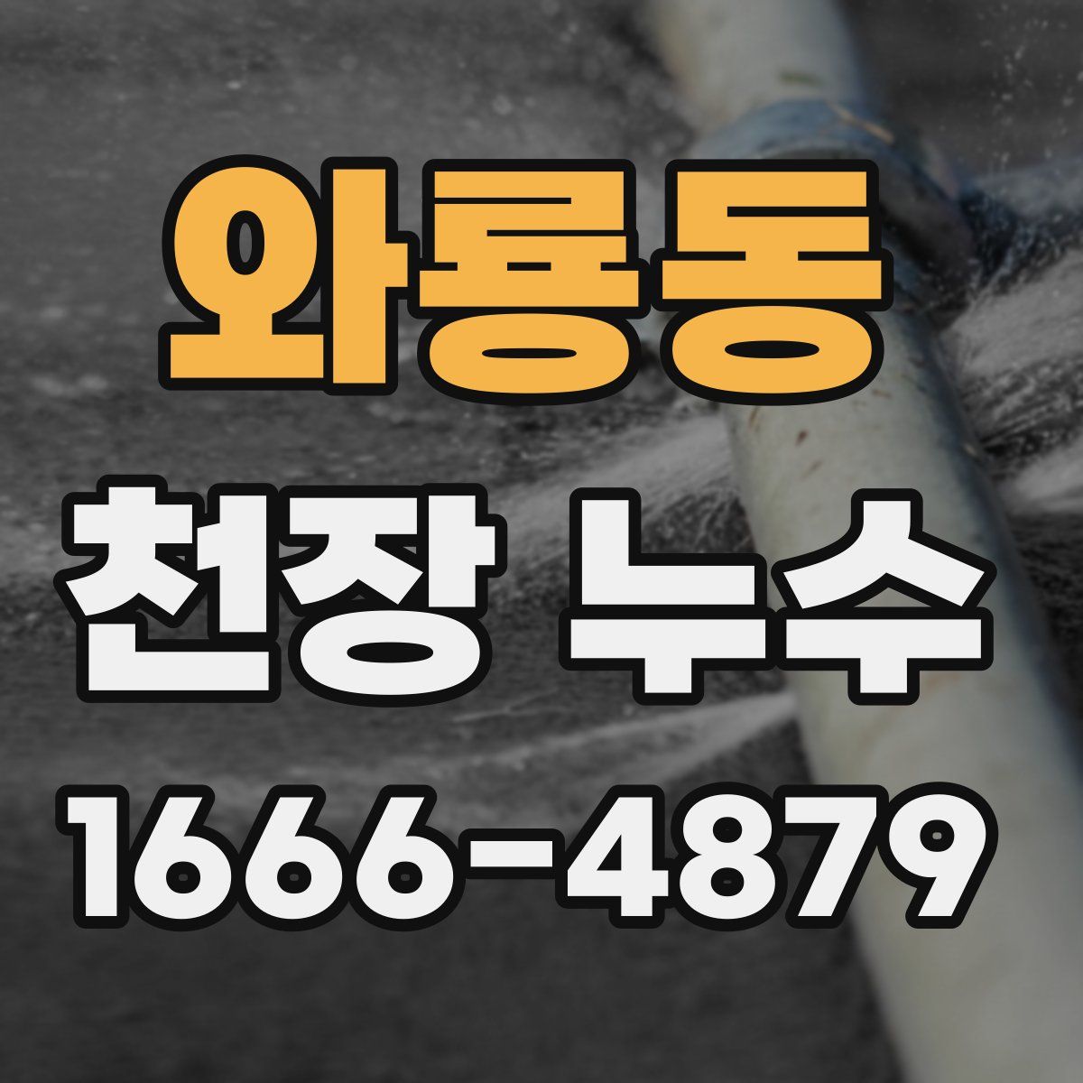 와룡동 천장 누수