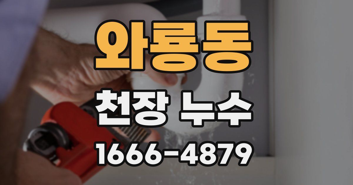 와룡동 천장 누수