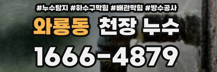 와룡동 천장 누수