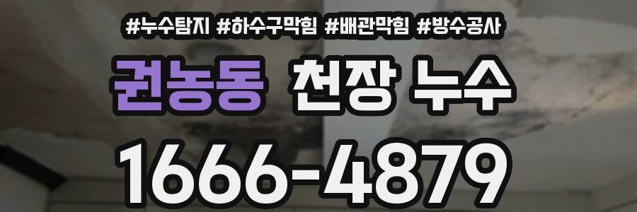 권농동 천장 누수