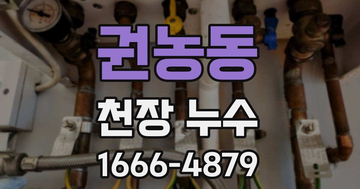 권농동 천장 누수