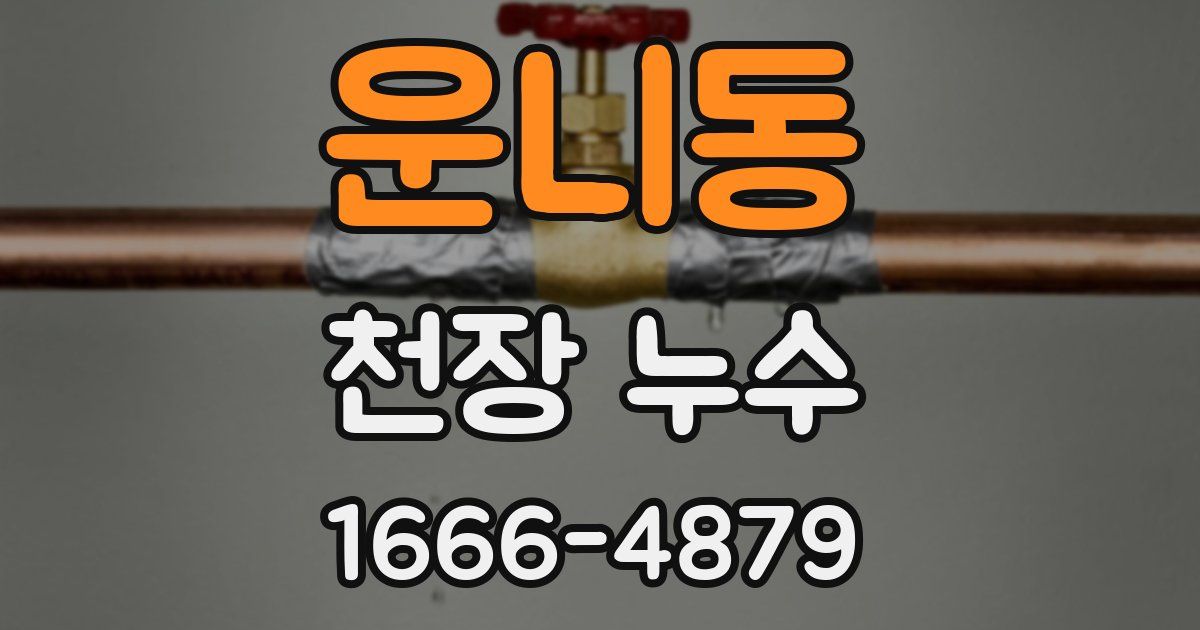 운니동 천장 누수