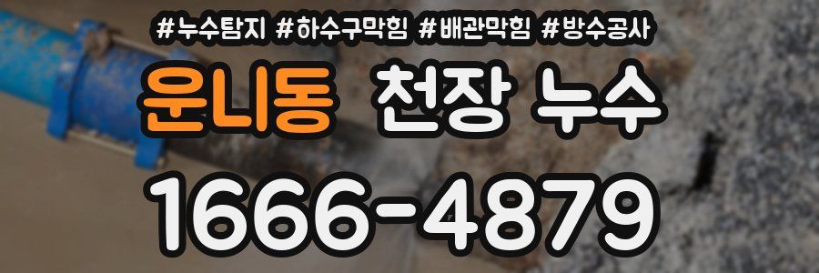운니동 천장 누수