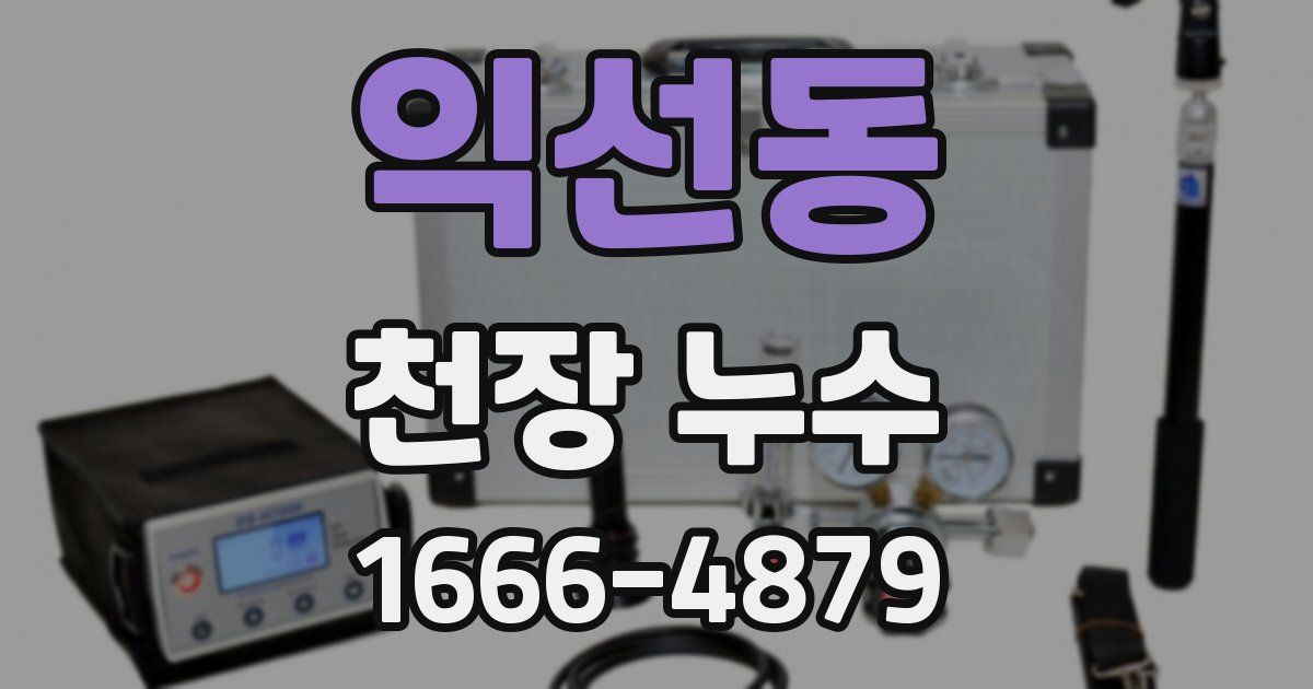 익선동 천장 누수