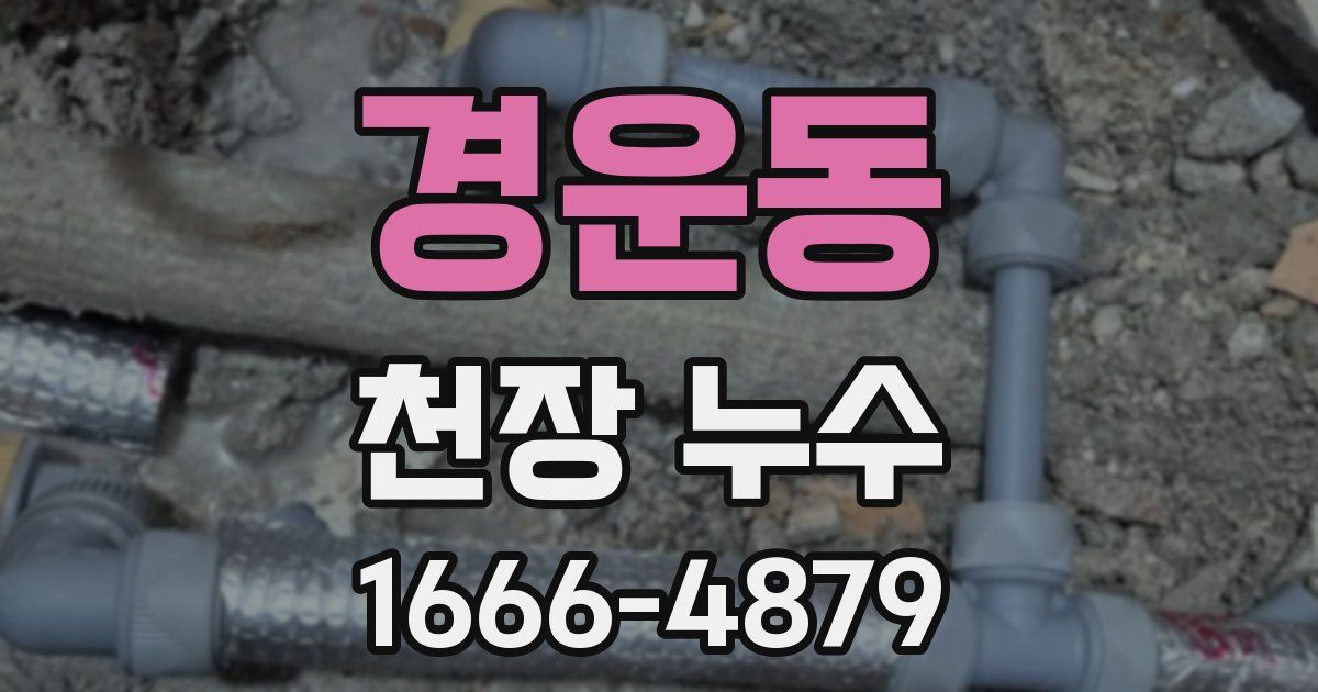 경운동 천장 누수
