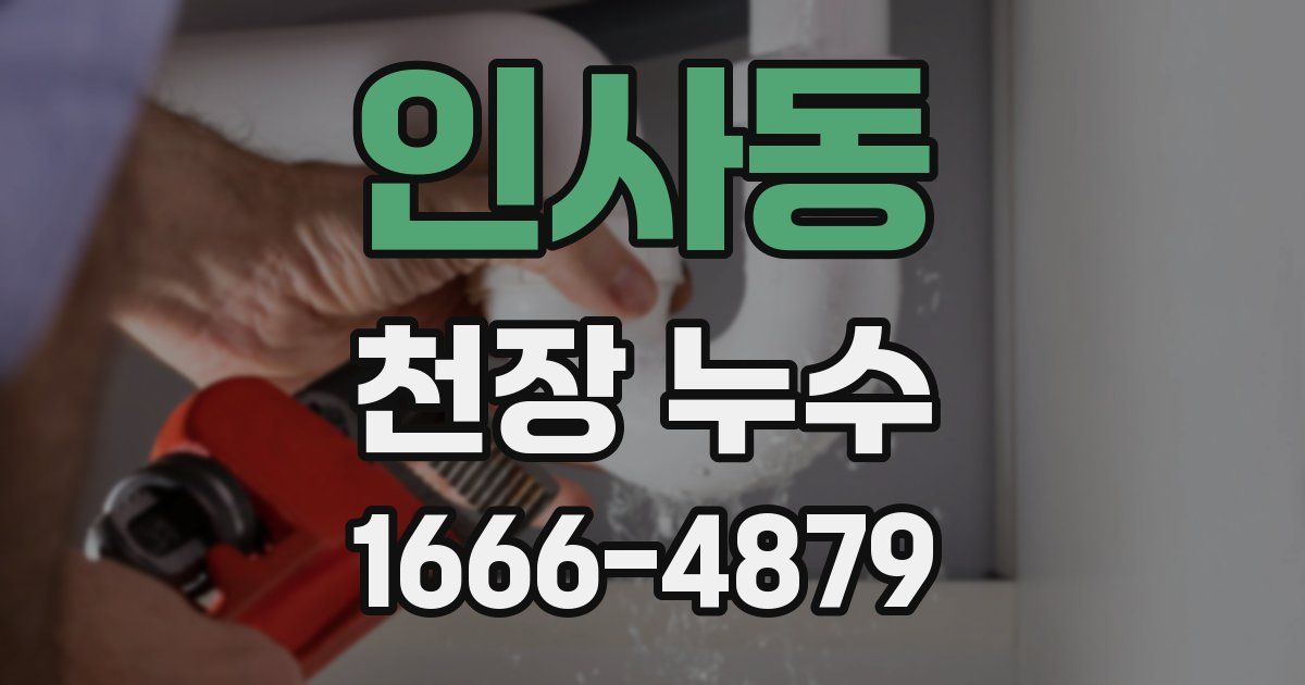 인사동 천장 누수