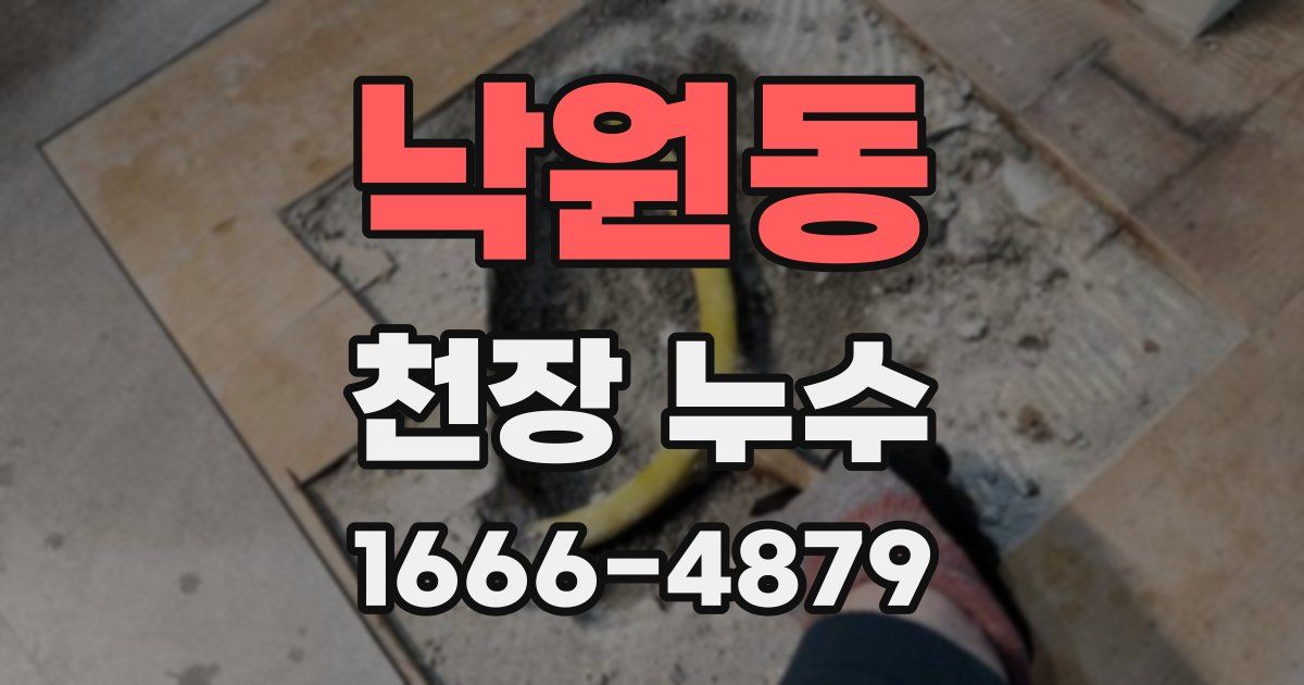 낙원동 천장 누수