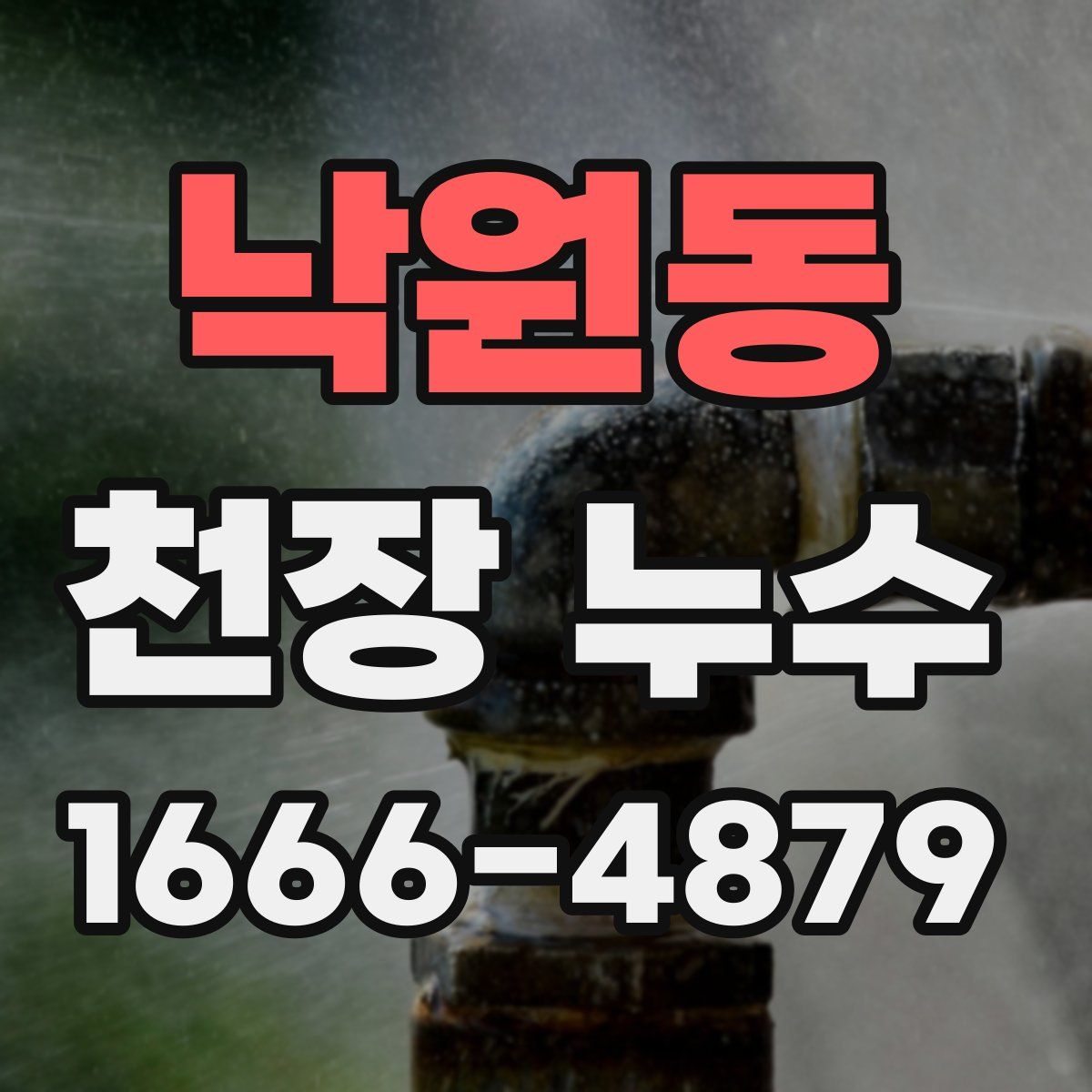 낙원동 천장 누수