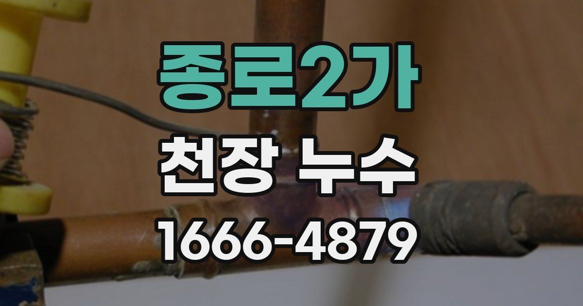 종로2가 천장 누수