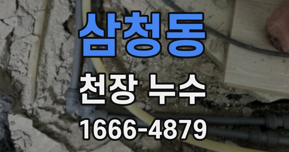 삼청동 천장 누수