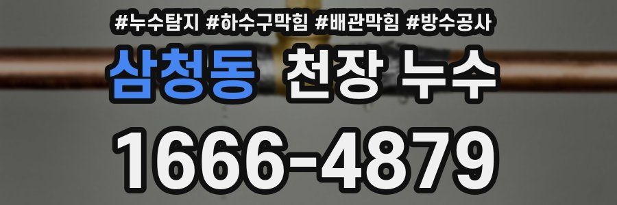 삼청동 천장 누수
